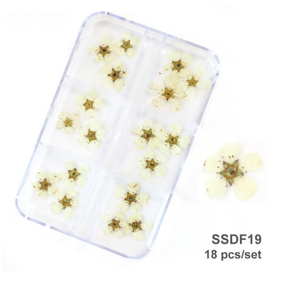 12/18 buc/cutie Flori uscate 3D Decoratiuni pentru arta unghiilor Autocolante florale uscate Brelocuri pentru manichiura DIY Modele pentru accesorii pentru unghii