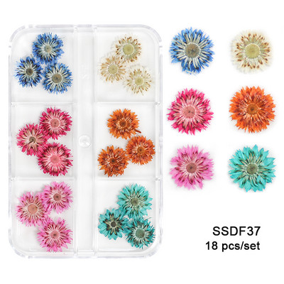 12/18 buc/cutie Flori uscate 3D Decoratiuni pentru arta unghiilor Autocolante florale uscate Brelocuri pentru manichiura DIY Modele pentru accesorii pentru unghii