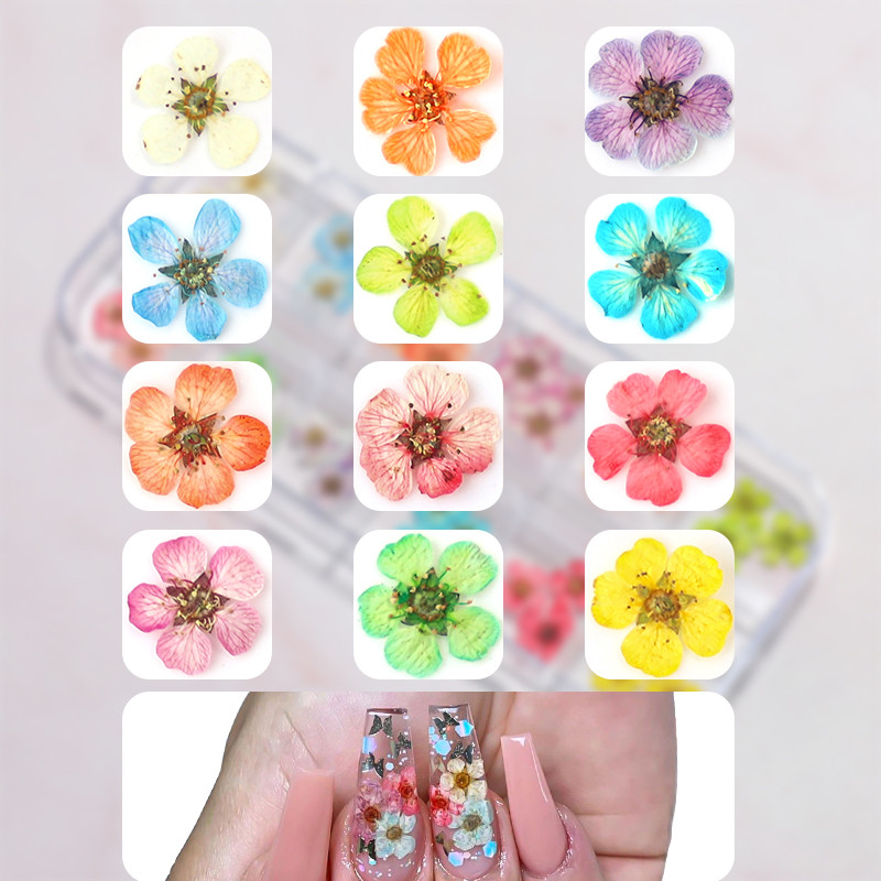12/18 buc/cutie Flori uscate 3D Decoratiuni pentru arta unghiilor Autocolante florale uscate Brelocuri pentru manichiura DIY Modele pentru accesorii pentru unghii