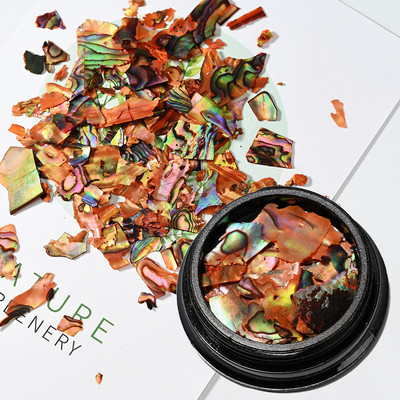 Neregulāras Abalone Shell nagu mākslas pārslas 12 režģi/kaste Dabiskas jūras gliemežvāku šķēlītes nagu piekariņi 3D spīdīgi gliemežvāku vizuļi manikīra pārslas