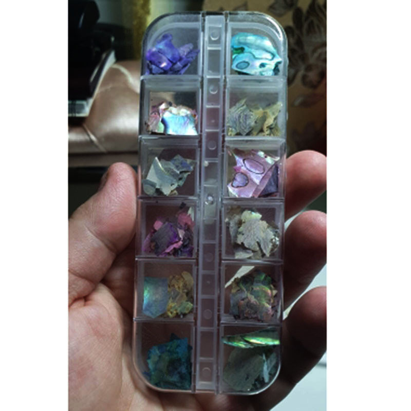 Neregulāras Abalone Shell nagu mākslas pārslas 12 režģi/kaste Dabiskas jūras gliemežvāku šķēlītes nagu piekariņi 3D spīdīgi gliemežvāku vizuļi manikīra pārslas