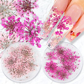10 τμχ 3D Dried Flower Nails Art Decorations Natural Floral Nail Charms Σετ κοσμημάτων Νυχιών Προμήθειες για Επαγγελματίες Αξεσουάρ