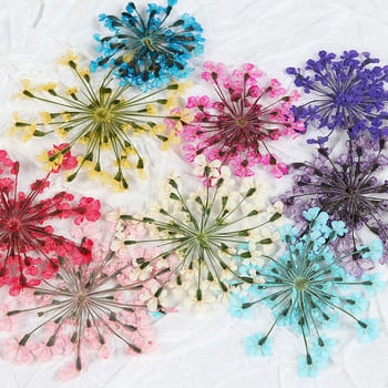 10 бр. 3D изсушени цветя Декорации за изкуство за нокти Естествени флорални талисмани за нокти Комплект бижута Консумативи за нокти за професионалисти Аксесоари