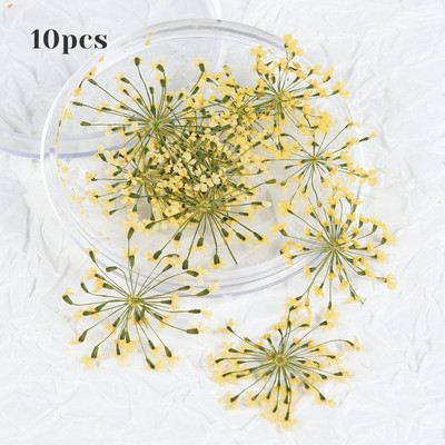 10 τμχ 3D Dried Flower Nails Art Decorations Natural Floral Nail Charms Σετ κοσμημάτων Νυχιών Προμήθειες για Επαγγελματίες Αξεσουάρ