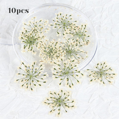 10 τμχ 3D Dried Flower Nails Art Decorations Natural Floral Nail Charms Σετ κοσμημάτων Νυχιών Προμήθειες για Επαγγελματίες Αξεσουάρ