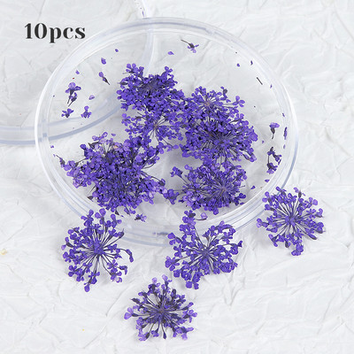 10 τμχ 3D Dried Flower Nails Art Decorations Natural Floral Nail Charms Σετ κοσμημάτων Νυχιών Προμήθειες για Επαγγελματίες Αξεσουάρ