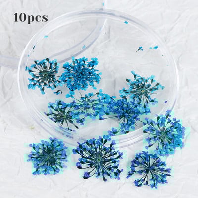 10 τμχ 3D Dried Flower Nails Art Decorations Natural Floral Nail Charms Σετ κοσμημάτων Νυχιών Προμήθειες για Επαγγελματίες Αξεσουάρ