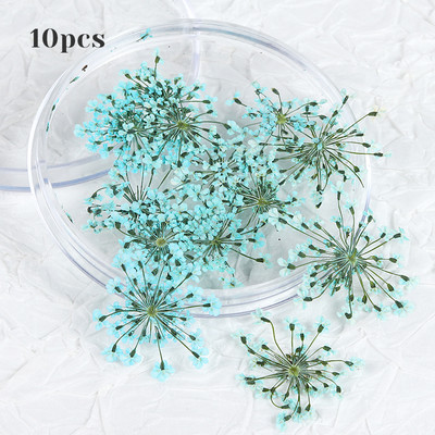 10 τμχ 3D Dried Flower Nails Art Decorations Natural Floral Nail Charms Σετ κοσμημάτων Νυχιών Προμήθειες για Επαγγελματίες Αξεσουάρ