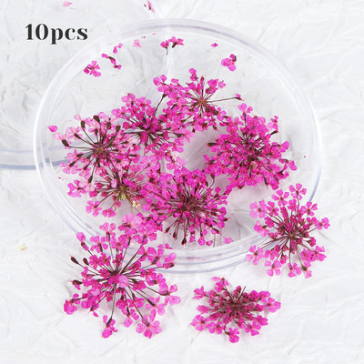 10 τμχ 3D Dried Flower Nails Art Decorations Natural Floral Nail Charms Σετ κοσμημάτων Νυχιών Προμήθειες για Επαγγελματίες Αξεσουάρ