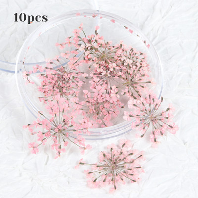 10 τμχ 3D Dried Flower Nails Art Decorations Natural Floral Nail Charms Σετ κοσμημάτων Νυχιών Προμήθειες για Επαγγελματίες Αξεσουάρ
