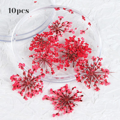 10 τμχ 3D Dried Flower Nails Art Decorations Natural Floral Nail Charms Σετ κοσμημάτων Νυχιών Προμήθειες για Επαγγελματίες Αξεσουάρ