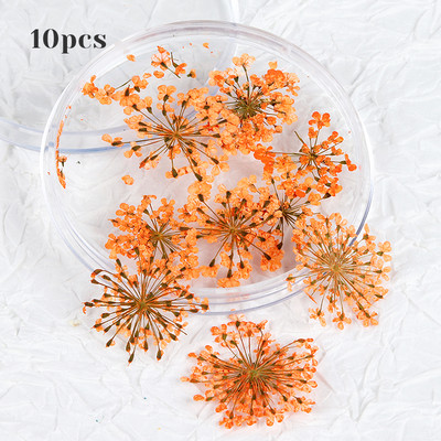 10 τμχ 3D Dried Flower Nails Art Decorations Natural Floral Nail Charms Σετ κοσμημάτων Νυχιών Προμήθειες για Επαγγελματίες Αξεσουάρ