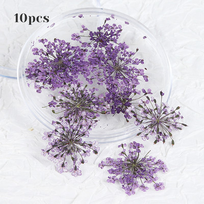 10 τμχ 3D Dried Flower Nails Art Decorations Natural Floral Nail Charms Σετ κοσμημάτων Νυχιών Προμήθειες για Επαγγελματίες Αξεσουάρ