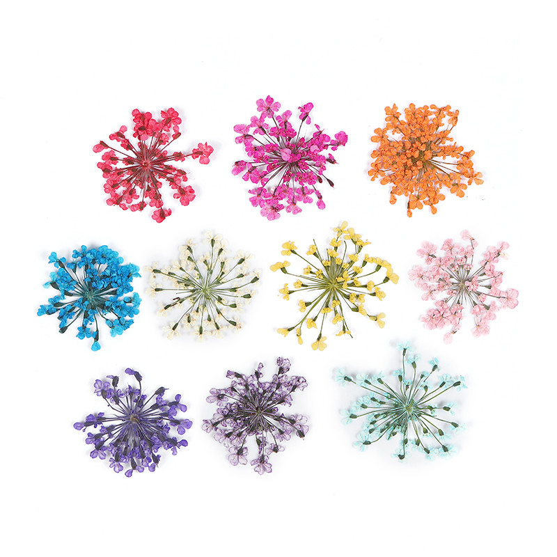 10 gab. 3D kaltēti ziedi, nagu mākslas rotājumi, dabīgi ziedu nagu piekariņi Juvelierizstrādājumu komplekts nagu piederumi profesionāļiem Aksesuāri