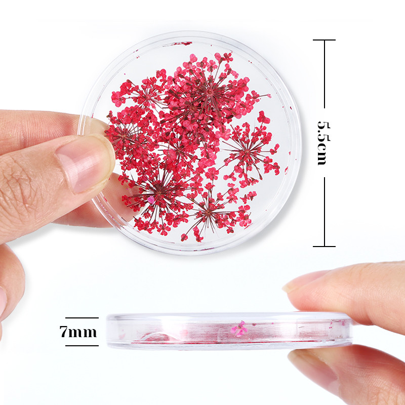 10 gab. 3D kaltēti ziedi, nagu mākslas rotājumi, dabīgi ziedu nagu piekariņi Juvelierizstrādājumu komplekts nagu piederumi profesionāļiem Aksesuāri