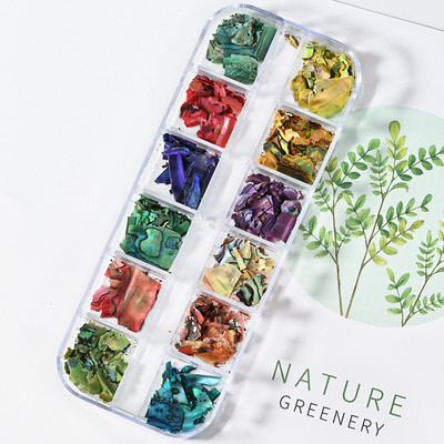 Nail Art Aurora Shell Flakes Abalone Nails Charms 3D Irregular Slice Shell Stone Sequins Nail Art Decoration Dodatak za manikuru