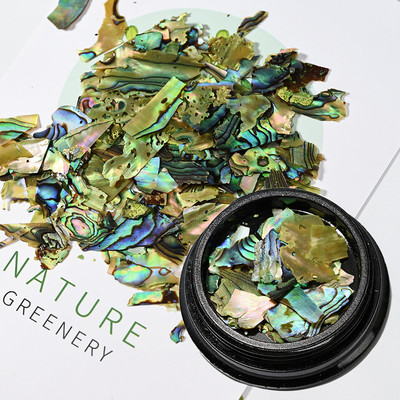Nail Art Aurora Shell Flakes Abalone Nails Charms 3D Irregular Slice Shell Stone Sequins Nail Art Decoration Dodatak za manikuru