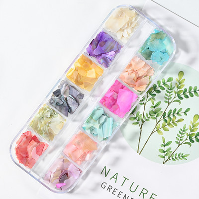 Nail Art Aurora Shell Flakes Abalone Nails Charms 3D Irregular Slice Shell Stone Sequins Nail Art Decoration Dodatak za manikuru