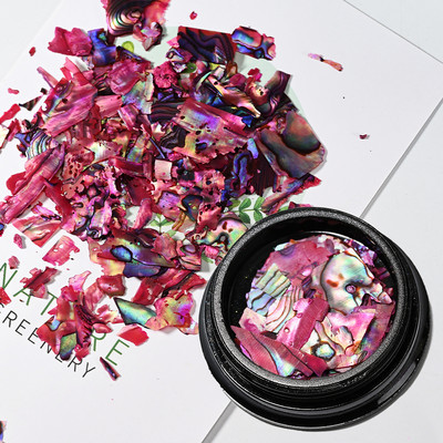 Nail Art Aurora Shell Flakes Abalone Nails Charms 3D Irregular Slice Shell Stone Sequins Nail Art Decoration Dodatak za manikuru