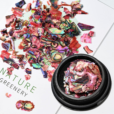 Nail Art Aurora Shell Flakes Abalone Nails Charms 3D Irregular Slice Shell Stone Sequins Nail Art Decoration Dodatak za manikuru