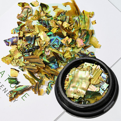 Nail Art Aurora Shell Flakes Abalone Nails Charms 3D Irregular Slice Shell Stone Sequins Nail Art Decoration Dodatak za manikuru