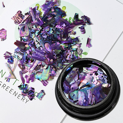 Nail Art Aurora Shell Flakes Abalone Nails Charms 3D Irregular Slice Shell Stone Sequins Nail Art Decoration Dodatak za manikuru
