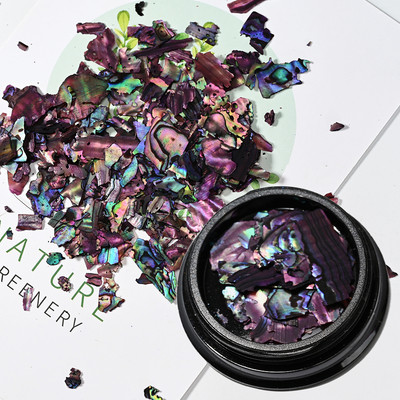 Nail Art Aurora Shell Flakes Abalone Nails Charms 3D Irregular Slice Shell Stone Sequins Nail Art Decoration Dodatak za manikuru