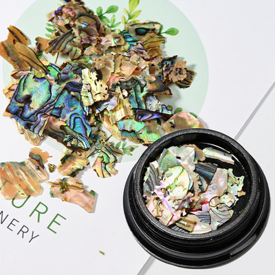 Nail Art Aurora Shell Flakes Abalone Nails Charms 3D Irregular Slice Shell Stone Sequins Nail Art Decoration Dodatak za manikuru