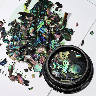 Nail Art Aurora Shell Flakes Abalone Nails Charms 3D Irregular Slice Shell Stone Sequins Nail Art Decoration Dodatak za manikuru