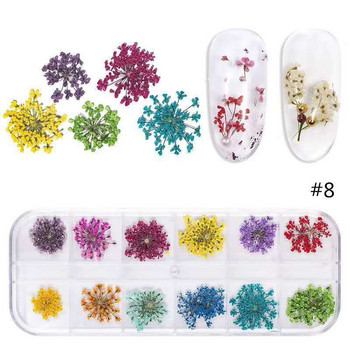 12Grid-3D изсушени цветя за талисмани за нокти Натурален флорален стикер Микс сухи цветя Направи си сам цветни стикери UV гел лак Nail Art Маникюр