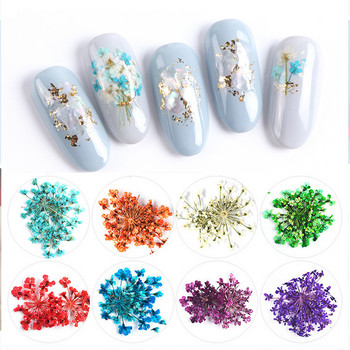12Grid-3D изсушени цветя за талисмани за нокти Натурален флорален стикер Микс сухи цветя Направи си сам цветни стикери UV гел лак Nail Art Маникюр