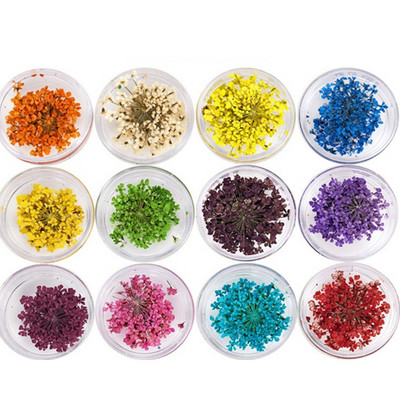 12Grid-3D žāvēts zieds nagu piekariņiem Dabisku ziedu uzlīmju maisījums Dry Flower DIY Krāsainas uzlīmes UV gēla lakas nagu mākslas manikīrs