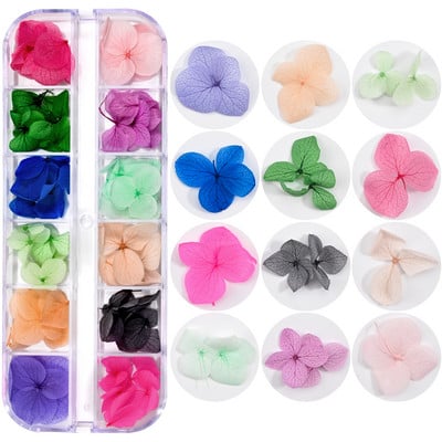 12Grid-3D žāvēts zieds nagu piekariņiem Dabisku ziedu uzlīmju maisījums Dry Flower DIY Krāsainas uzlīmes UV gēla lakas nagu mākslas manikīrs