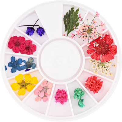 12Grid-3D žāvēts zieds nagu piekariņiem Dabisku ziedu uzlīmju maisījums Dry Flower DIY Krāsainas uzlīmes UV gēla lakas nagu mākslas manikīrs