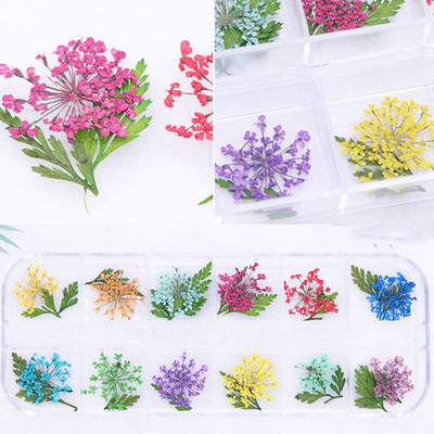 12Grid-3D žāvēts zieds nagu piekariņiem Dabisku ziedu uzlīmju maisījums Dry Flower DIY Krāsainas uzlīmes UV gēla lakas nagu mākslas manikīrs