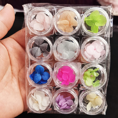 12Grid-3D žāvēts zieds nagu piekariņiem Dabisku ziedu uzlīmju maisījums Dry Flower DIY Krāsainas uzlīmes UV gēla lakas nagu mākslas manikīrs