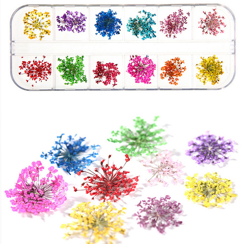 12Grid-3D žāvēts zieds nagu piekariņiem Dabisku ziedu uzlīmju maisījums Dry Flower DIY Krāsainas uzlīmes UV gēla lakas nagu mākslas manikīrs