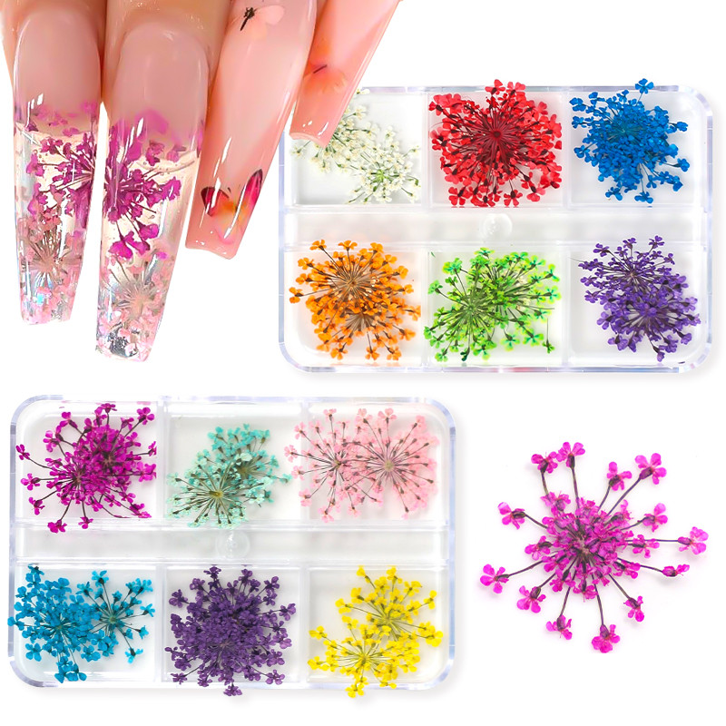 3D suho cvijeće Ukrasi za nokte Rukotvorine Dekoracije za kućne telefone Prirodne osušene cvjetne naljepnice Privjesci DIY dizajni Dodatna oprema