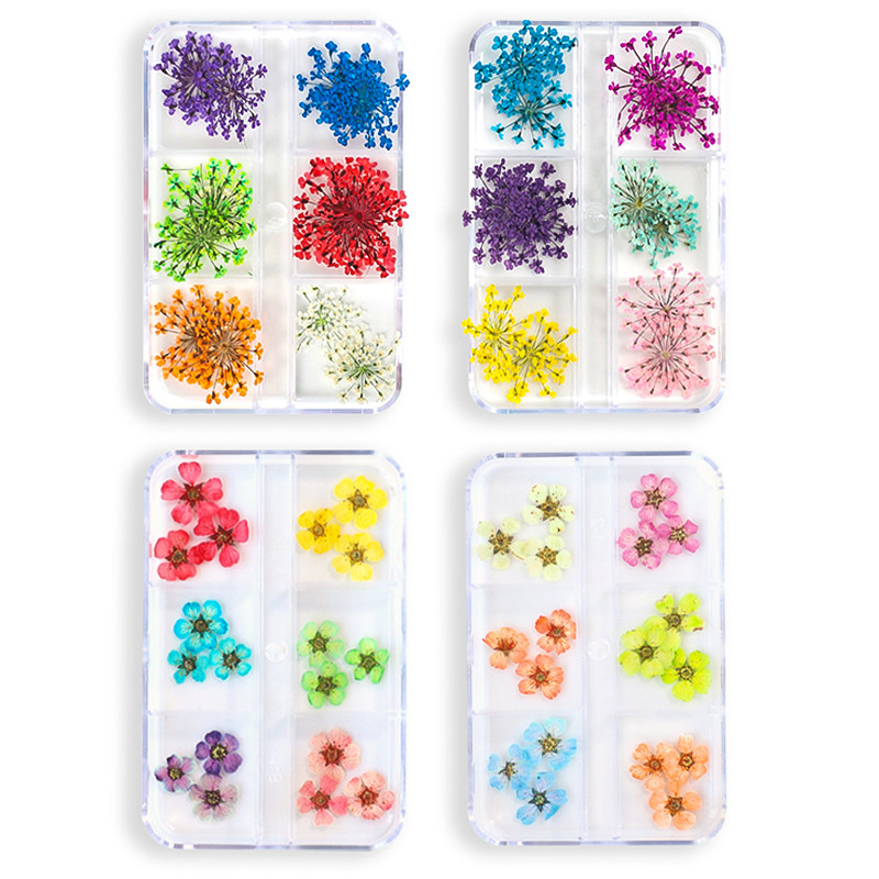 3D suho cvijeće Ukrasi za nokte Rukotvorine Dekoracije za kućne telefone Prirodne osušene cvjetne naljepnice Privjesci DIY dizajni Dodatna oprema