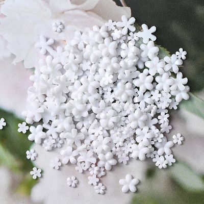 100 komada šarenih akrilnih cvjetnih privjesaka za nokte 3D cvjetni ukrasi od smole za nokte Cvjetići za nokte sa kamenčićima Nakit za manikuru