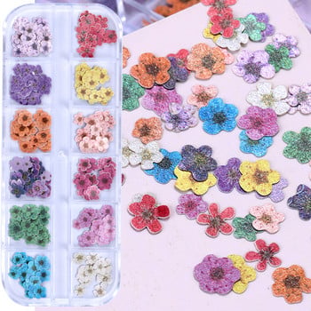 12 решетки 3D цветни цветя Ултра-тънък пълнеж от смола Резен от дървесна маса Малка маргаритка Стикери за нокти Направи си сам Аксесоари за декорация на маникюр