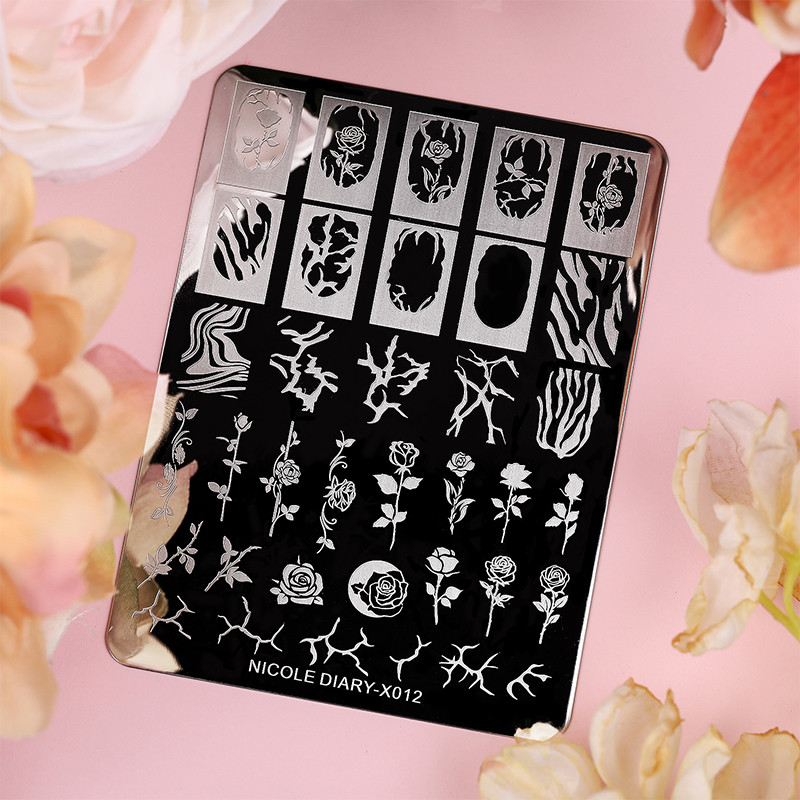 NIKOLAS DIENASGRĀMATA Franču puķu lapas nagu mākslas štancēšanas plāksnes ģeometrija viļņu līniju zīmēšanas veidnes nagu zīmogu veidņu trafaretu rīks DIY