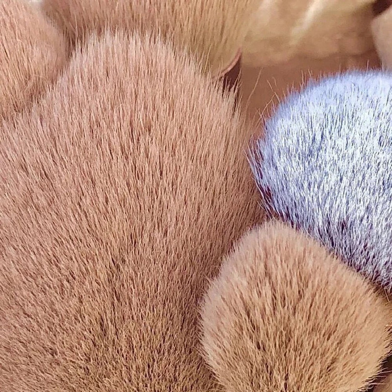 13 KOM Set četkica za šminku Podloga za sjenilo Ženska kozmetička četkica Sjenilo za oči Rumenilo Ljepota Meka torba za alate za šminku