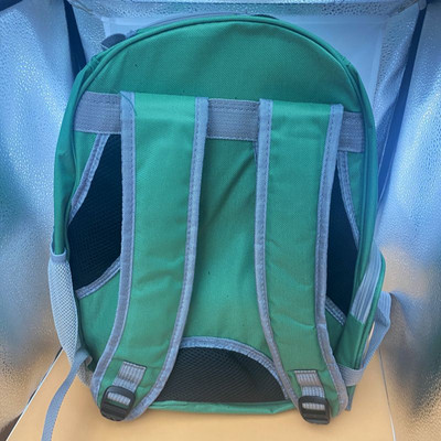 Cat Pet Carrier Ruksak Capsule Bubble Pet Carrier Ruksak Mala prozirna životinja Puppy Kitty Bird Prozračna nosiljka za kućne ljubimce za putovanja