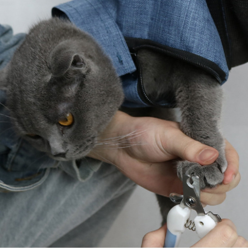 Kismacska hordtáskák Légáteresztő kültéri kisállathordozók Kis kutya macska hátizsák Divat Utazás Kisállattáska Szállítás Kiskutya Hordozó