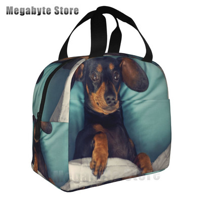 Taksis, desu suņi, rozā ziedi, apdruka atkārtoti lietojama, izolēta pusdienu maisiņa dzesētāja kastes konteiners ar priekšējo kabatu vīrietim