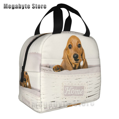 Taksis, desu suņi, rozā ziedi, apdruka atkārtoti lietojama, izolēta pusdienu maisiņa dzesētāja kastes konteiners ar priekšējo kabatu vīrietim