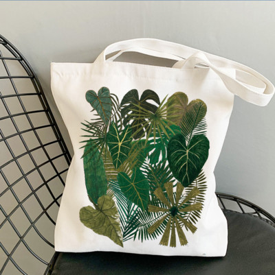 Forget Me Not Blooms