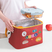 Piknika aukstuma soma bieza izolēta piknika soma izolēta aukstuma soma 10l rokas pārnēsājama plecos piknika groza dzesētājs priekš