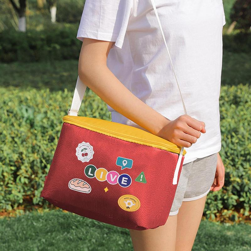 Piknika aukstuma soma bieza izolēta piknika soma izolēta aukstuma soma 10l rokas pārnēsājama plecos piknika groza dzesētājs priekš